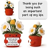 Positive Daisy Crochet Gift, Handmade Birthday Present for Daughter Mom Girlfriend, Cute Gratitude Collectible for Best Friend, Inspirational Holiday Idea for Christmas Stocking Stuffer Anniversary