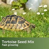 Garden Lawncare Guy Tortoise Grass Seed and Forage Mix 100g - Fast Growing view 2