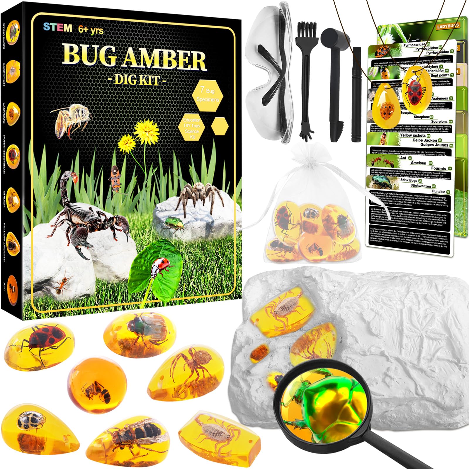 Bernstein Ausgrabungsset für Kinder ab 6 7 8 9 10 11 12 Jahren, Fossilien Ausgrabungsset Kinder mit 7 Künstliche Insektenfossilien und Ausgrabungszubehör, Edelsteine Ausgraben für Jungen Mädchen