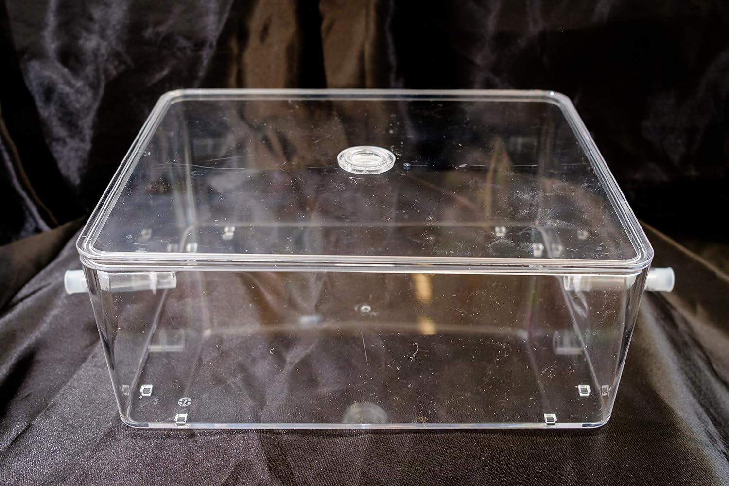 Ant Arena Complete Large Set Outworld Formicarium Farm Amazon.co.uk