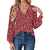 Womens Tops V Neck Dressy Casual Blouses Long Sleeve Shirts Business Work Blouse Pleated 2025 Trendy Tunic Top