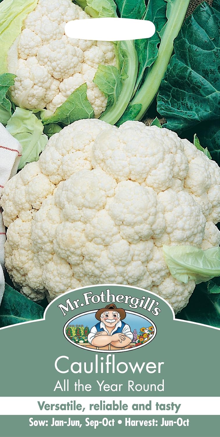 Mr Fothergills Seeds Ltd 10401 Vegetable Seeds, Cauliflower All The Year Round, White