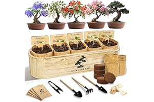 LUOJIBIE Bonsai Tree Kit for Beginners - Unique DIY Japanese Bonsai Trees,Crafts for Adults, Ideal Gardening Birthday Gift for Women & Men,Complete Indoor Plant Kit