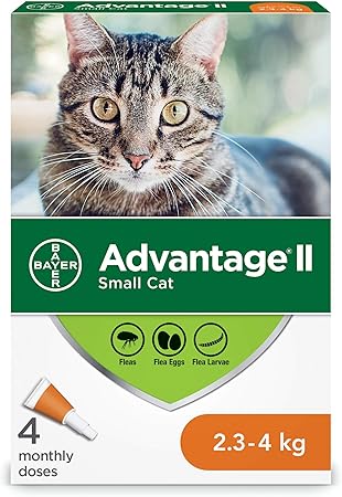 advantage 2 small cat