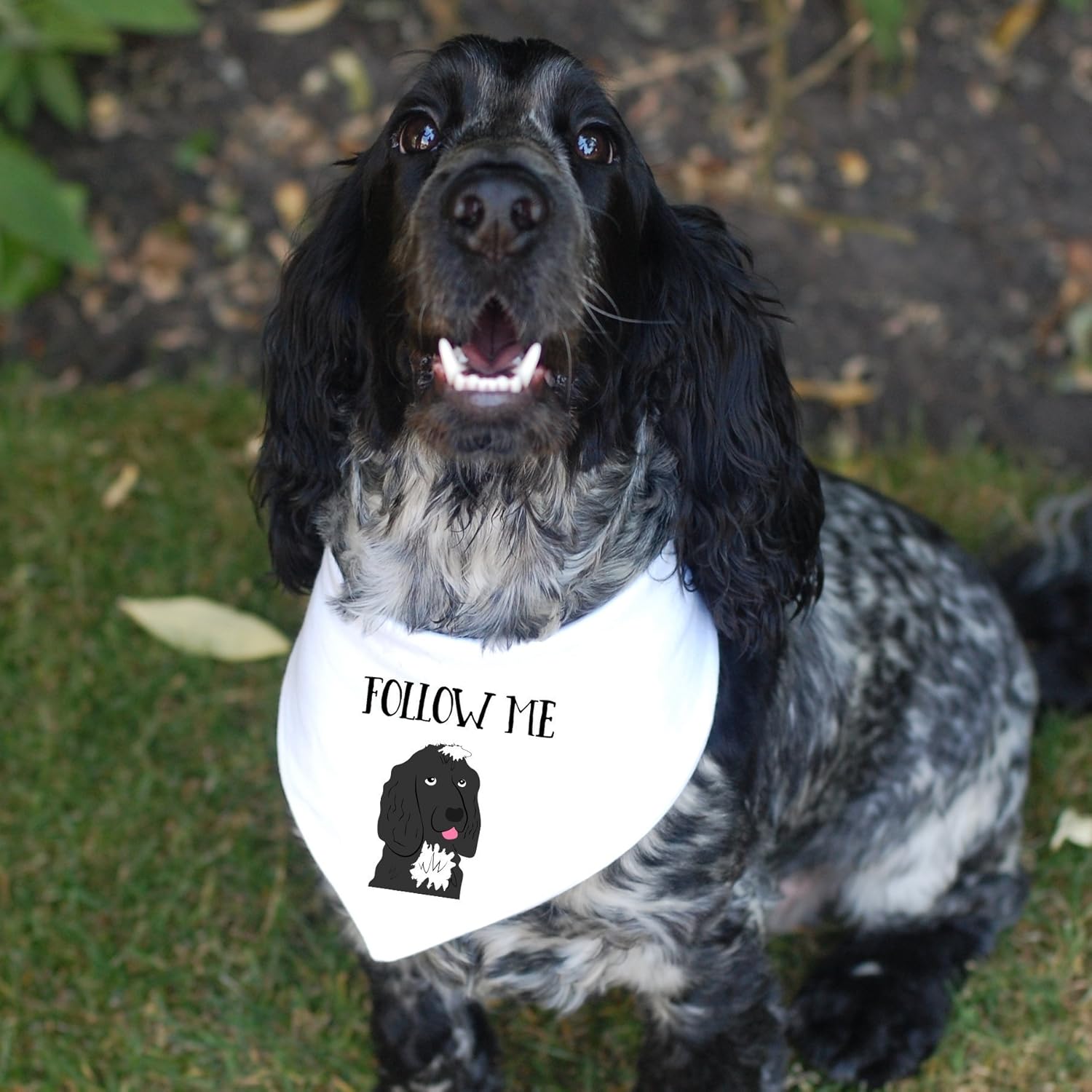 personalized dog bandanas amazon