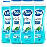 Dial Body Wash, Refresh & Renew Spring Water, 16 Fl Oz (Pack of 4), Hydraclean Complex & Vitamin E, Gentle, Leaves Skin Feeling Nourished, Dermatologist-Tested, No Parabens & Sulfates