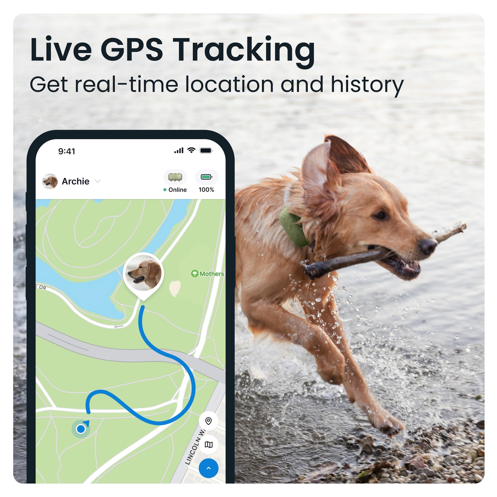 Tractive XL GPS Dog Tracker