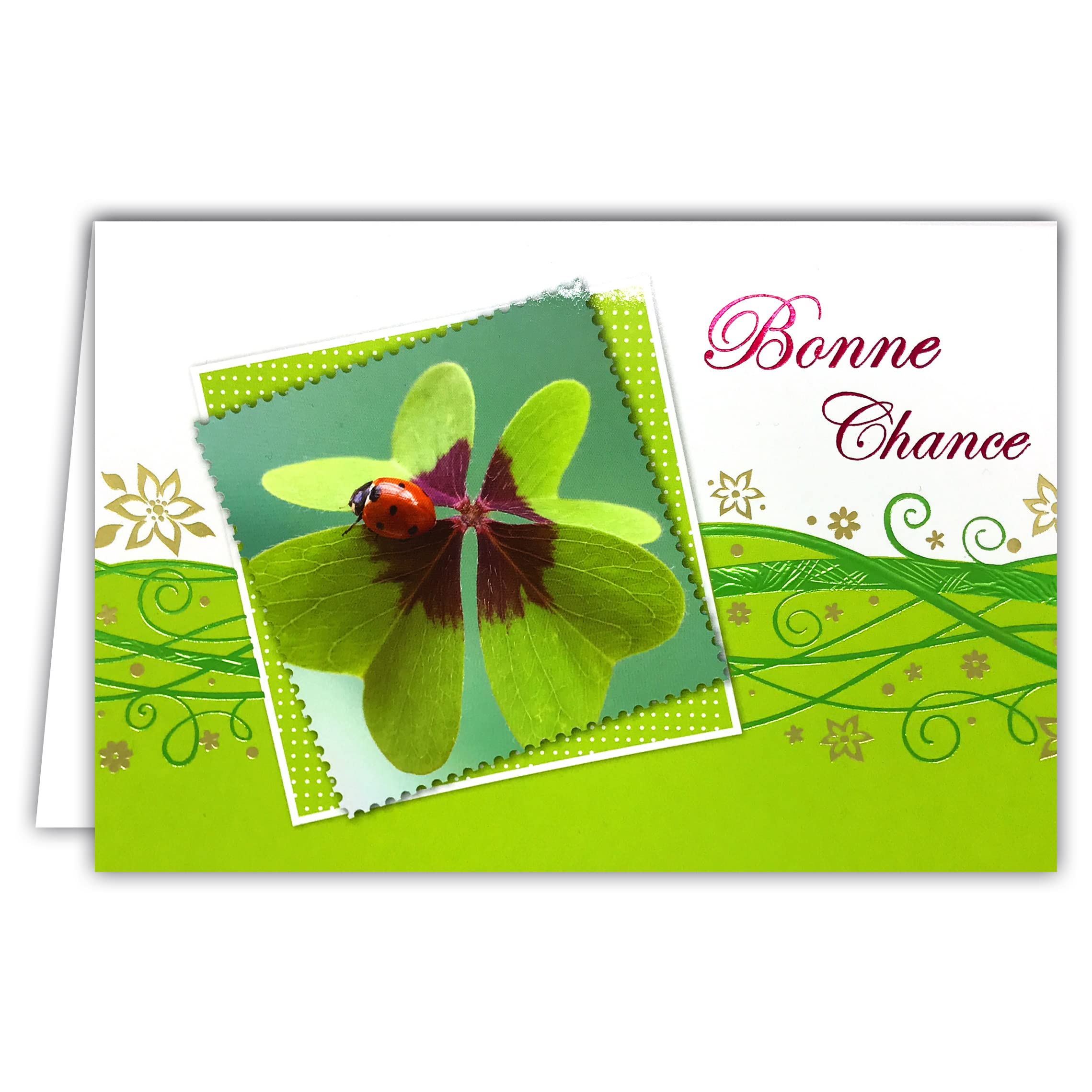 Argus Good Luck Card Lucky Charm Success Card 4 Leaf Clover Ladybird Gold Flowers Shiny Green Scroll Printed Interior Envelope Size 12 x 17.5 cm Made in Europe 15-6170