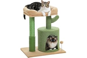 MUTTROS Cactus Cat Tree 24.8" Cute Cat Tower for Indoor Cats with Big Base, Cat Condo for Small Cats with Cozy Top Perch, Scratching Post, Fluffy Ball, Green