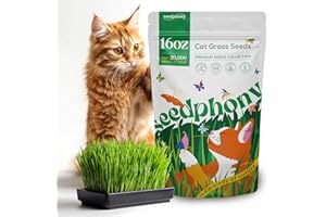 Seedphony Cat Grass Seed Mix – 16 oz Pack with 20,500 Non-GMO Heirloom Seeds for Cats, Barley, Oat, Rye & Wheatgrass for Indoor Growing, Fresh Pet Grass for Digestion & Hairball Control