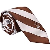 Desert Cactus Lehigh University Neck Tie LU Mountain Hawks 100% Polyester Necktie with Logo, Officially Licensed (Style A)
