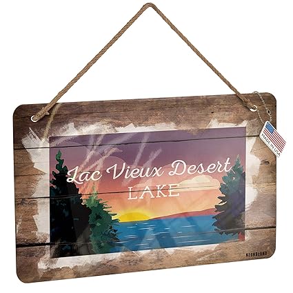 Amazon Com Neonblond Metal Sign Lake Retro Design Lac Vieux