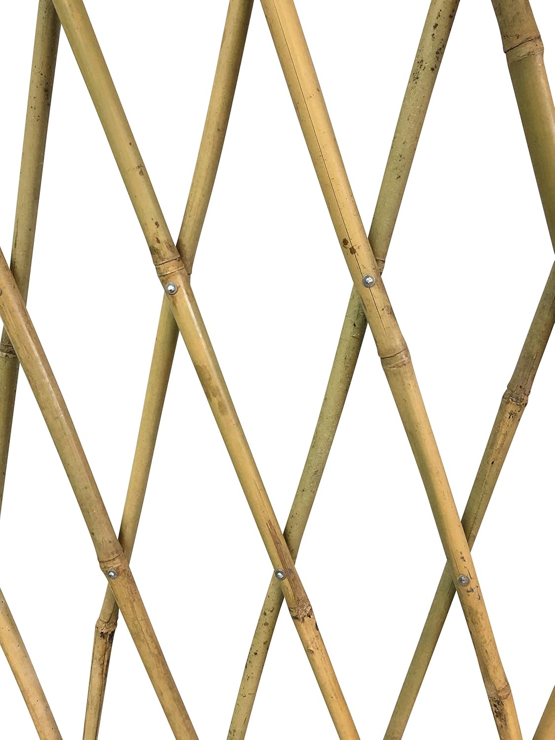 Expandable Bamboo Poles Trellis with Aluminum Rivets 48 Plant Support