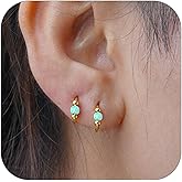 2 Pcs Small Cartilage Hoop Earrings for Women Men, 18G Opal Silver Earrings Hypoallergenic 316L Surgical Steel Hinge Huggie Hoop Earrings for Helix,Tragus,Conch,Rook,Earlobe Piercing Jewelry Nose Ring