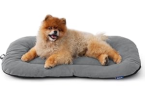 Bedsure Washable Dog Crate Pad for Small Dogs, Anti-Slip Puppy Kennel Dog Bed for Crate - Ultra Soft Fleece Flat Thin Pet Mat (Not Chew Proof), Light Grey 23"x17"