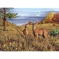 Buffalo Games Puzzle 1000 Pezzi – Memory Lane – Hautman Brothers – Dimensioni 67,9x50,2 Cm – Poster Incluso