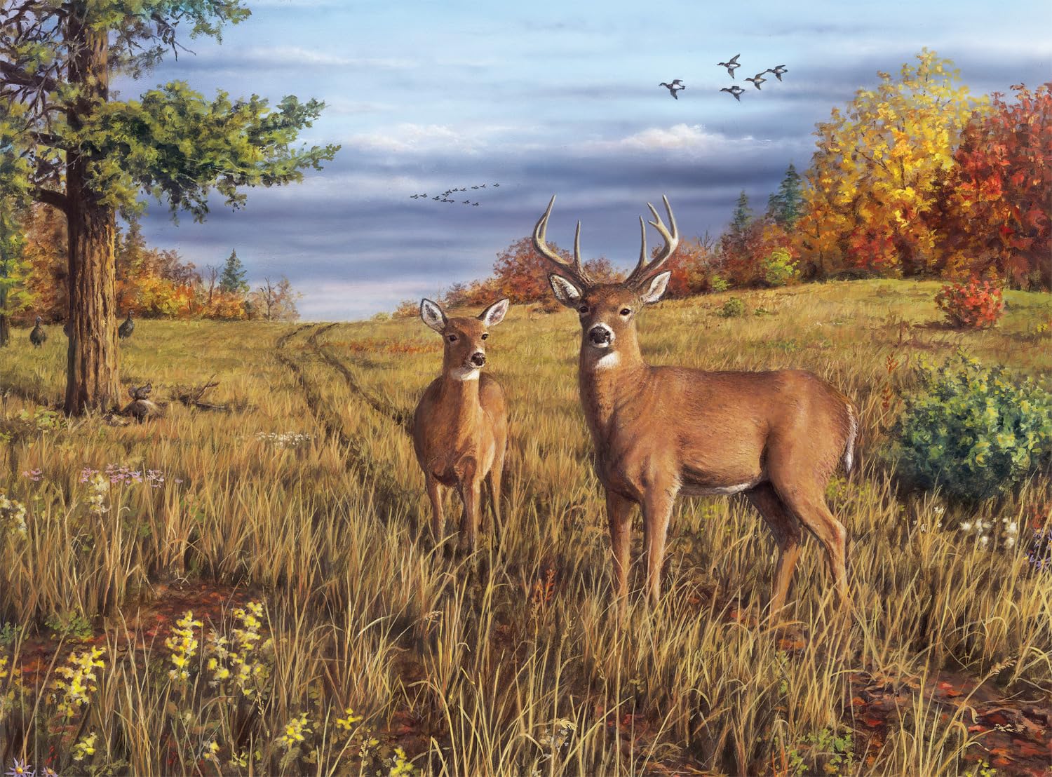 Buffalo Games - Robert Hautman - Fall Fauna - 1000 Piece Jigsaw Puzzle for Adults Challenging Puzzle Perfect for Game Nights - Finished Puzzle Size is 26.75 x 19.75