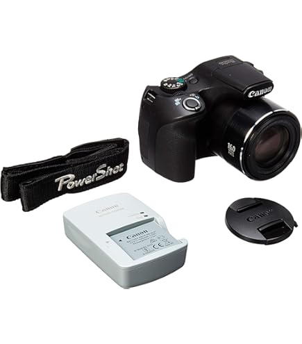 Amazon.com : Canon PowerShot SX530 HS 16.0 MP CMOS Digital