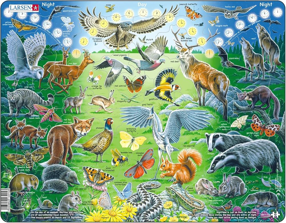 Larsen NB11 Night and Day English Edition 60 Piece Jigsaw Puzzle Tray Frame