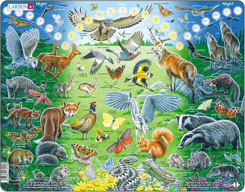 Larsen NB11 Night and Day English Edition 60 Piece Jigsaw Puzzle Tray Frame