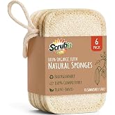 Natural Loofah Dish Sponge 6-Pack Biodegradable Sponges for Kitchen | Natural Loofah Large Biodegradable Sponges for Kitchen Non-Scratch