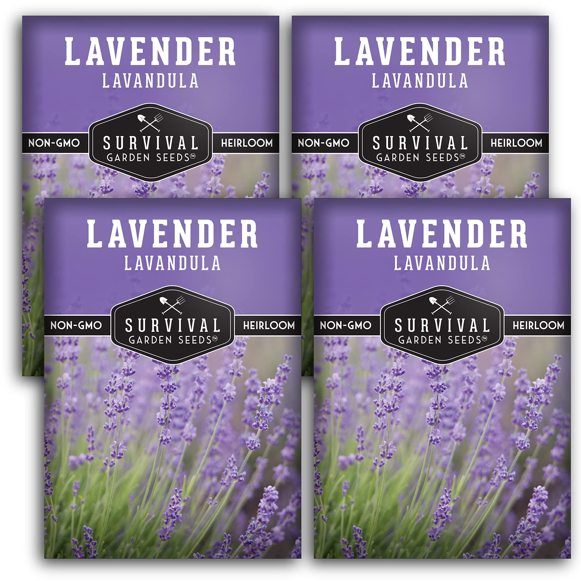 Survival Garden Seeds - Lavender Seed for Planting - Packet with Instructions to Plant and Grow Purple Lavandula Herbs in Your Home Vegetable Garden - Non-GMO Heirloom Variety -4 Packs