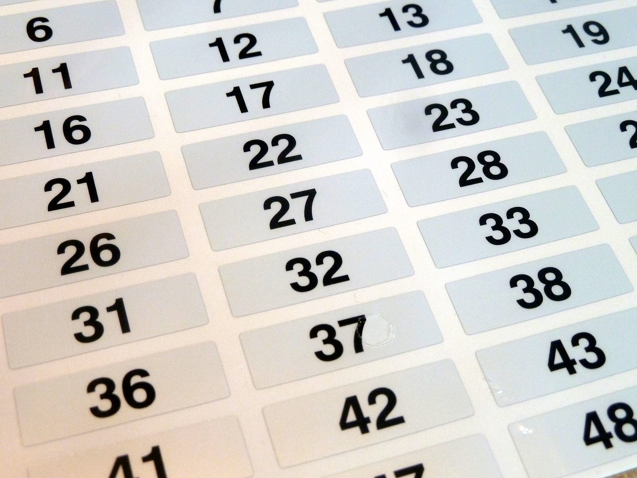 31x10mm, Black on Silver Labels, Consecutively Numbered 1 to 100, Durable Plastic Consecutive Numbering Stickers