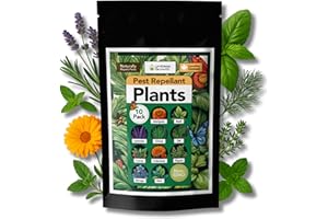 Pest Repellant Plants Seed Pack | 10 Herb & Flower Varieties for Canadian Gardens | Marigold, Basil, Lavender , Chives, Dill,