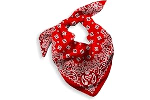 EVERY-VILLE WHERE EVERYONE IS WELCOME Gift Packaging Bandana for Men Women - 100% Cotton, Paisley, 22x22 In, 1 Pack - Large Bandanna Handkerchief Cowboy Hanky