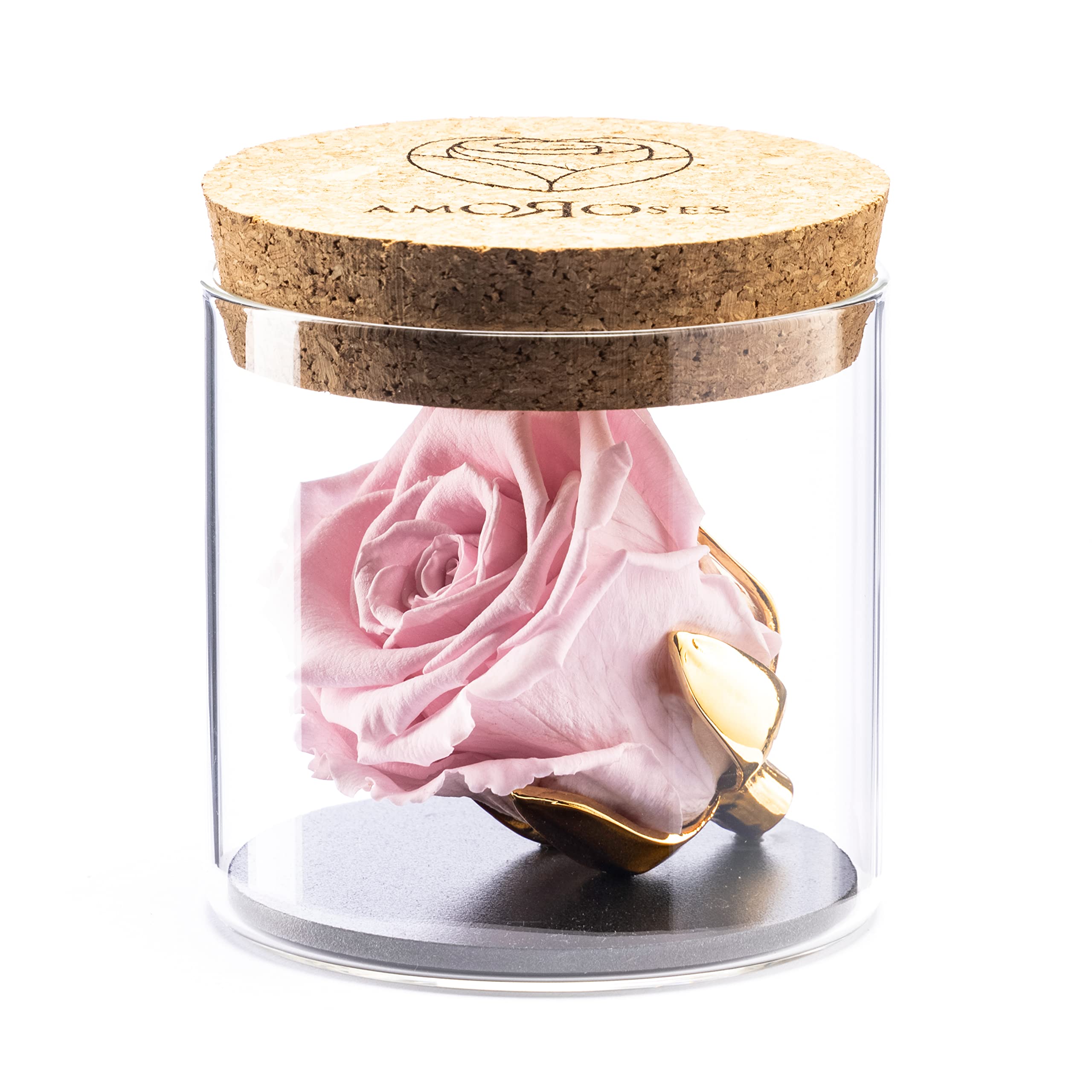 Amoroses Bijou - Eternal Stabilised Rose with 24K Gold Plated Calyx in Glass Jar | Gift Idea Christening Baby Girl (Pink Rose)