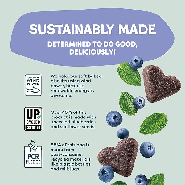 SHAMELESS PETS SOFT-BAKED DOG TREATS, BLUEBERRIED TREASURE – NATURAL & HEALTHY DOG CHEWS WITH MINT FOR IMMUNE SUPPORT – MADE IN USA, FREE FROM GRAIN, CORN & SOY – 1-PACK