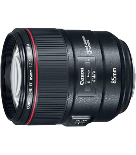 Amazon.com : Canon EF 85mm f/1.4L IS USM - DSLR Lens with IS