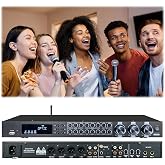 RQG Professional Digital Karaoke Audio Effects Processor, DSP Mixer with Bluetooth 5.0, Anti-Feedback, Remote Control, Audio Professional Mixer,for Home KTV, Stage Performance, Conference
