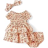 Gymboree Baby-Girls and Newborn Dress with Diaper Cover, 2 Piece Outfit