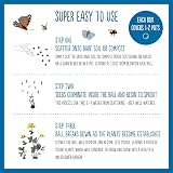 Seedball Forget-Me-Not Wildflower Seeds 3x Seed Boxes Bee Friendly view 3