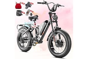 eAhora Terra/Luna 2 3000W Dual Motor Electric Bike for Adults 53Km//h 7-Speed Ebike with Removable 48V 20Ah/15Ah Battery 20 *