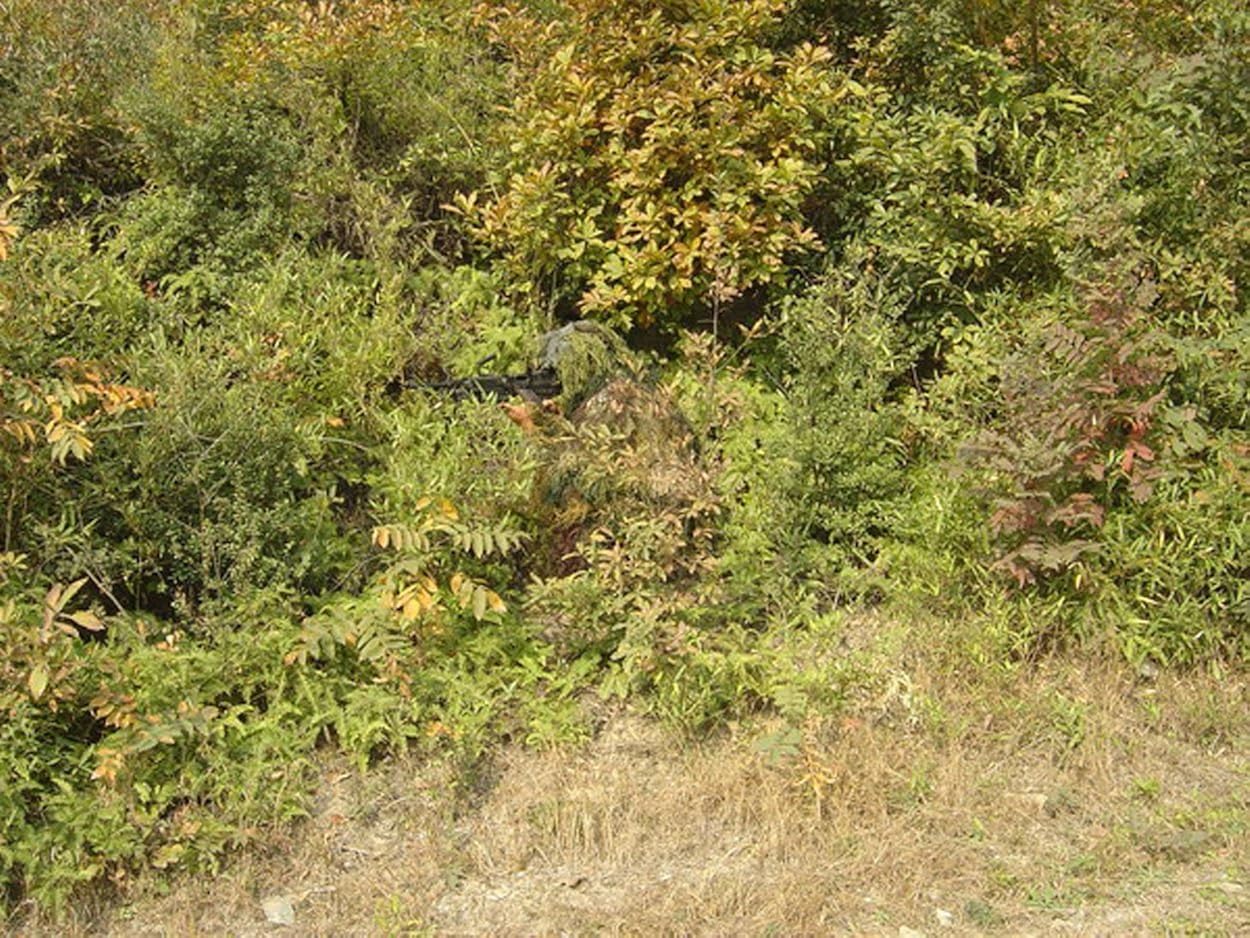 LOOGU Ghillie Suit, Camo Suit Woodland and Forest Design Military Leaf Hunting and Shooting Accessories Tactical Camouflage Clothing Free Size for Airsoft, Wildlife Photography Halloween : Sports & Outdoors