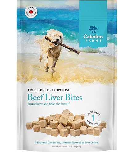 Nylabone Fun N Fit Osso Intrecciato In Gomma Per Cani Medi, Confezione Da 3, Colore Rosso