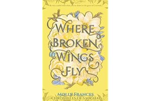 Where Broken Wings Fly (Chronicles of Saoghal Book 1)