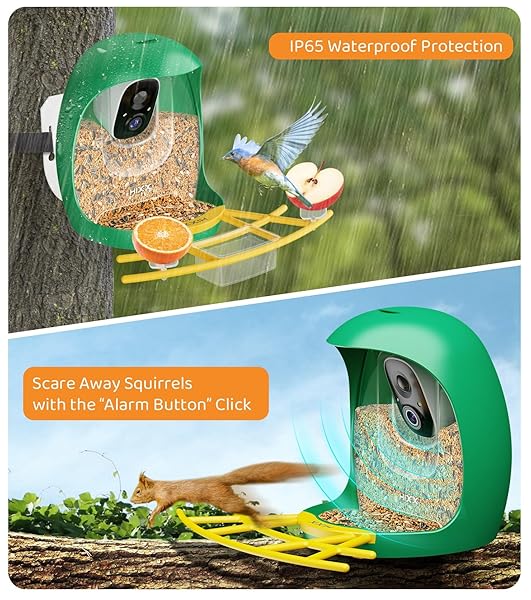 HIXX SMART BIRD FEEDER WITH CAMERA, AI IDENTIFY BIRDS & AUTO CAPTURE, 2K HD LIVE CAMERA BIRDWATCHING WITH COLOR NIGHT VISION FOR BIRD LOVERS GIFTS (GREEN)
