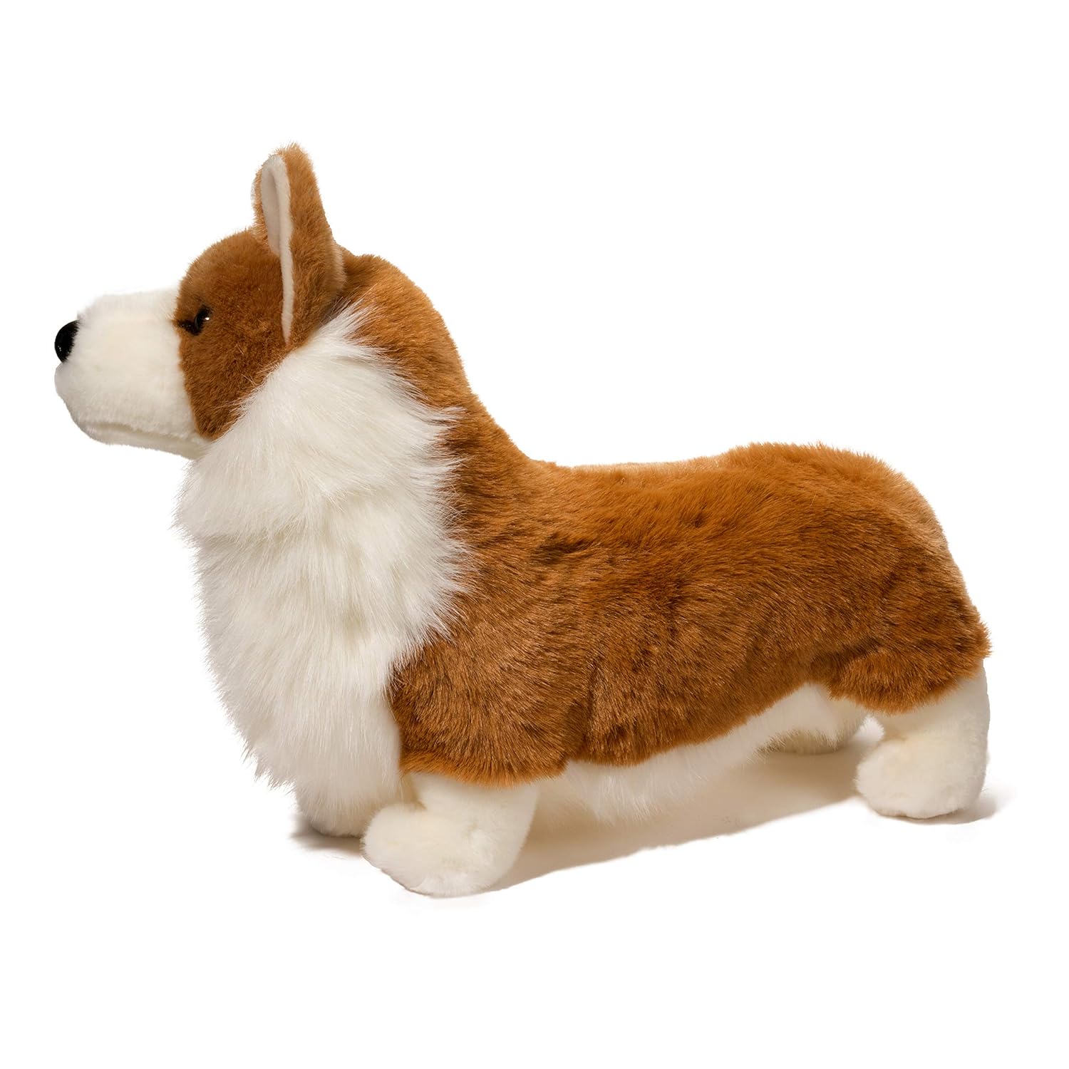 chadwick corgi
