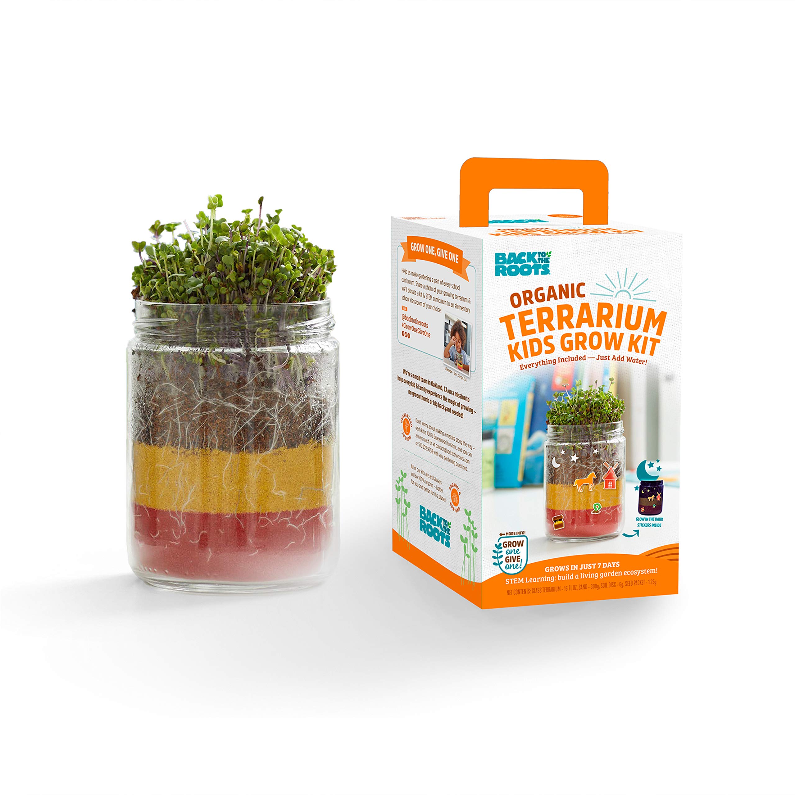 Photo 1 of Back to the Roots Terrarium Grow Kit - Easy-to-Use DIY Set for All Ages Small