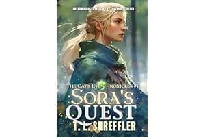 Sora's Quest: A Slow Burn, Enemies to Lovers Romantasy Adventure! (The Cat's Eye Chronicles Book 1)