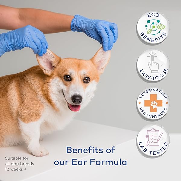 ARCA PET DOG EAR CLEANER WIPES – VET FORMULATED CLEANSER FOR DOGS – EAR ITCHING, DISSOLVES WAX, DIRT & ODOR WITH COCONUT OIL & ALOE VERA (100 FINGER WIPES)