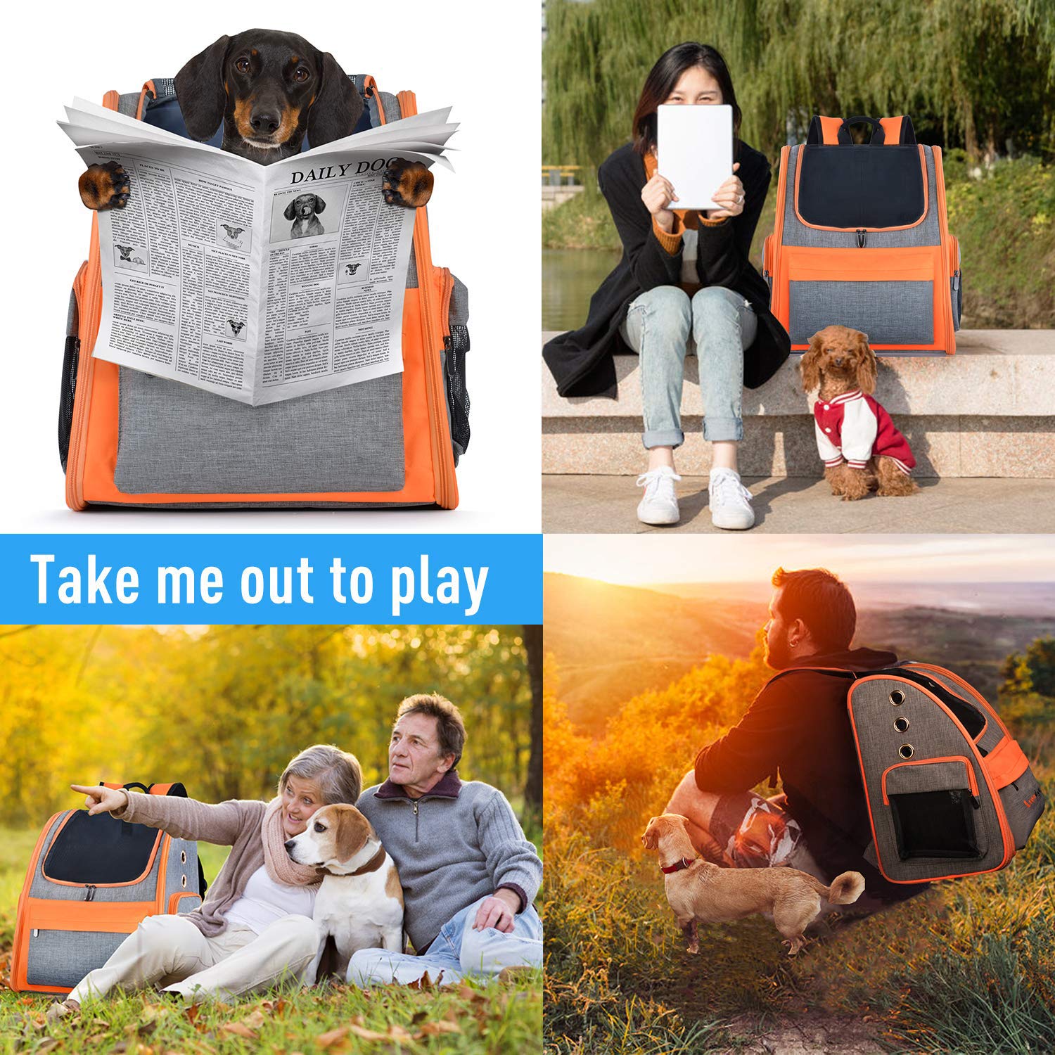 Legendog Dog Backpack, Pet Backpack Carrier Portable Travel Bag Breathable Pet Backpack for Dogs& Cats, Waterproof Cat Hiking Backpack with Cushion & Adjustable Strap (Pet Backpack)