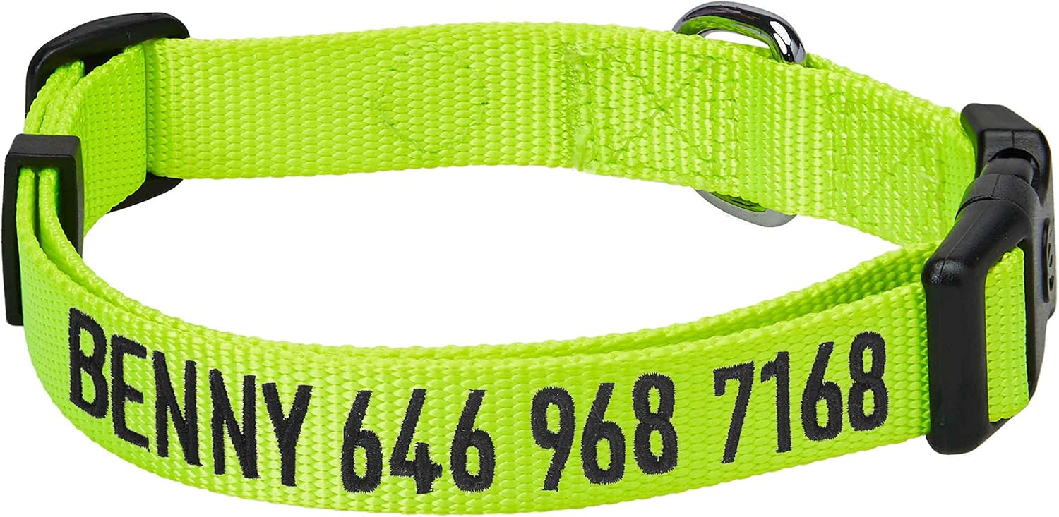 Blueberry Pet Essentials 22 Colors Classic Dog Collar, Turquoise, Large, Neck 18"-26", Nylon Collars for Dogs : Pet Supplies
