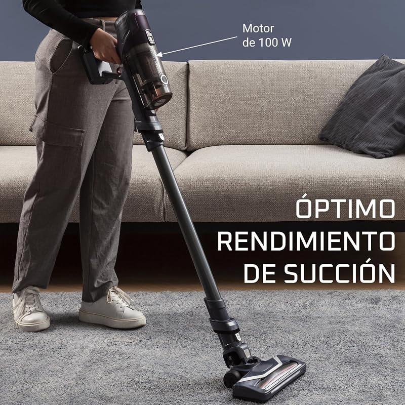 X-Pert 6.60, Aspiradora Escoba Sin Cable, Lila