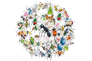 35pcs Insects Bugs Nature Animals Graffiti Decals DIY Stickers Lifelike Animal Stickers for DIY Phone Guitar Laptop Notebook 