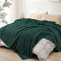 PHF Ultra Soft Flannel Fleece Blanket Queen