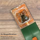 Carson BugView Bug Catcher with Built-in 5x Magnifying Glass view 2